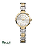 ساعت زنانه واتسون طلایی نقره ای سیلور WATSON-1283L-351